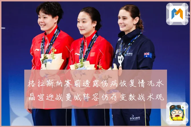 格拉斯纳赛前透露伤病恢复情况水晶宫迎战曼城阵容仍存变数战术观察：最新赛事动态与深度分析