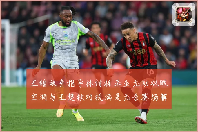 王皓放弃指导林诗栋呆坐无助双眼空洞与王楚钦对视满是无奈赛场解读：最新赛事动态与深度分析